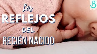 👶🏻👌🏻Los REFLEJOS del RECIÉN NACIDO  Baby Suite by Pau [upl. by Atok514]