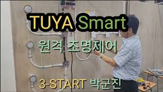 스마트조명 Smart Switch 3ch 3구 조명공사 homeautomation electricianlife electrical smart switch [upl. by Aidole]