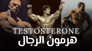 Testosterone  هرمون الرجال [upl. by Woodsum415]