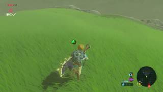 The Legend of Zelda Breath of the Wild  Serenne Stables [upl. by Garrik]