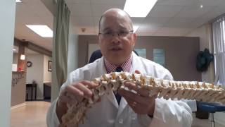 Back Pain alert What Is Facet Syndrome [upl. by Gearard]