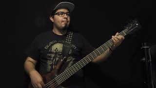 León Larregui Como tú Bass Cover [upl. by Kakalina]