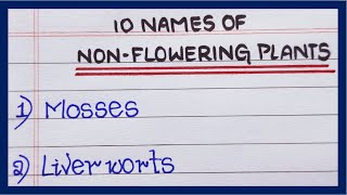 Names of non flowering plants  10 Non flowering plants names  List of non flowering plants [upl. by Aikal966]