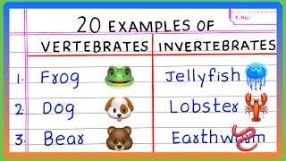 VERTEBRATE AND INVERTEBRATE ANIMALS  5  10  20 Name of VERTEBRATE AND INVERTEBRATE ANIMALS [upl. by Ayocat]