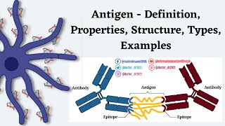 Immunology Lecture Antigens  Definition Properties Structure amp RealWorld Examples Made Easy [upl. by Yramesor932]