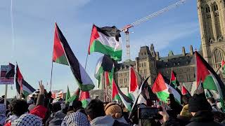 Mawtini موطني song in Ottawa in front of the Canadian Parliment [upl. by Ray]