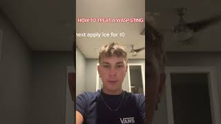 How to treat a Wasp Sting emergency [upl. by Evante67]