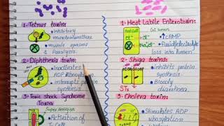 ExotoxinsBacteria exotoxinsExotoxins examples [upl. by Anawait409]