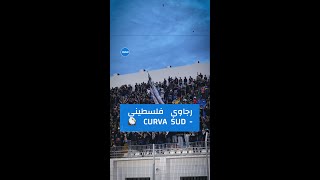 رجاوي فلسطيني  CURVA SUD 🟢🦅 [upl. by Cooperman]