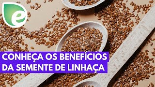 Conheça os benefícios da semente de linhaça [upl. by Terhune]