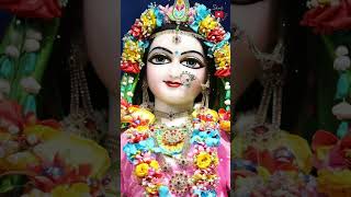 Sri Sri Radha Govind Dev Ji Darshan Isckon Noida radhagovind isckon divinedarshan shorts [upl. by Yuma375]