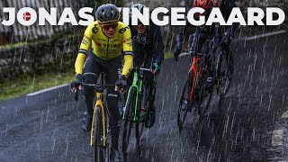 BEST OF CYCLING  JONAS VINGEGAARD 2024 [upl. by Ynnij]