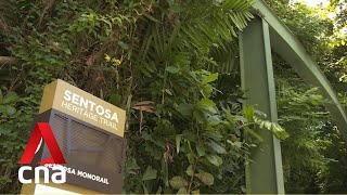 New Sentosa heritage trail launched features three thematic routes [upl. by Punak]