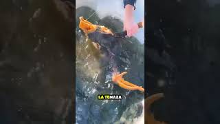 Chicos encuentran SORPRESA en Lago Congelado shorts [upl. by Faria]