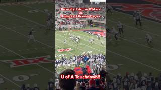 University of Arizona Wildcats Vs University of Houston Cougars HD  Tucson AZ 111524 [upl. by Ethban]