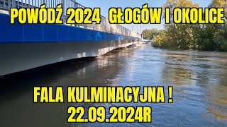 POWÓDŹ 2024 FALA KULMINACYJNA GŁOGÓW SERBY WILKÓW [upl. by Armil]