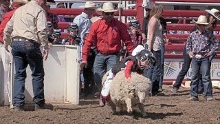 Kids get a taste of rodeo in the mutton busting event [upl. by Eerhs]