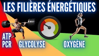 LES FILIÈRES ÉNERGÉTIQUES [upl. by Amyaj291]