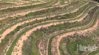 Vidéo aérienne du Vignoble du Layon à St Aubin de Luigné [upl. by Burney]