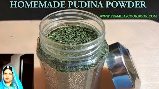 Homemade Pudina Powder  How To Make Pudina Powder At Home  सूखा पुदीना पाउडर [upl. by Rudyard]