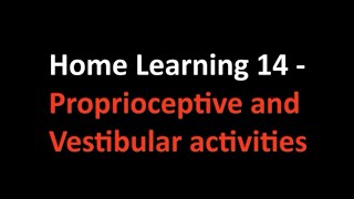 Home Learning 14  Proprioceptive And Vestibular Activities [upl. by Connie]