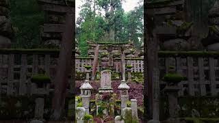 Explore Okunoin Cemetery A Mystical Journey in Koyasan travelvlog [upl. by Tymon223]