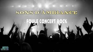 Sons dAmbiance  Foule Concert de Rock 1 [upl. by Carmel881]