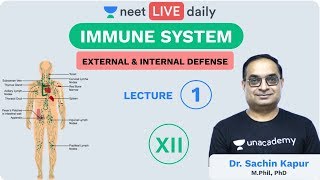 Immune System  Lecture 1  Class 12  Unacademy NEET  NEET LIVE DAILY  NEET Biology  Sachin Sir [upl. by Sirromad]