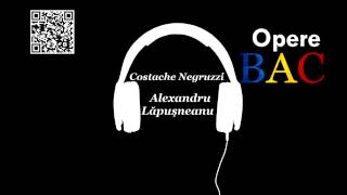 Costache Negruzzi  Alexandru Lapusneanul  Nuvela istorica  OPERE BAC [upl. by Stanislaw]