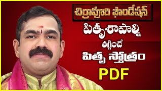 పితృ శాపాల్ని తగ్గించే పితృ దేవతా స్తోత్రం pitru stotram PDF Chirravuri FoundationJayam problems [upl. by Tades21]