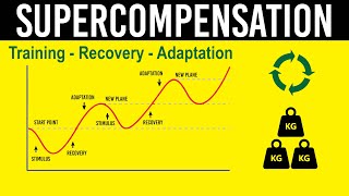 Training Recovery amp Adaptation Supercompensation principle [upl. by Mezoff]