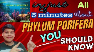 Phylum Porifera 🪸 in just 5 minutes  Class 11  Animal Kingdom  Biology  Ch  4  detailed video [upl. by Llednik]