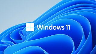 How to install Windows 11 with Direction Windows Preinstallation Environment amp WinNTSetup Process [upl. by Trant859]