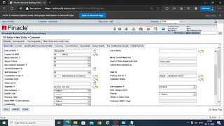 FINACLE 10 TRAINING  Customer ID creation using CRM module [upl. by Assirrec]