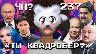 Чё Происходит 237  Миа Бойка vs квадроберы японский шпион в Беларуси Путин встречался с Дуровым [upl. by Aseeram420]