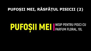 PUFOȘII MEI RÂSFÂȚUL PISICII 2 [upl. by Dunaville764]