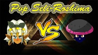 DOFUS Seliroshima Roublard 200 VS Eca 200 [upl. by Winchell245]