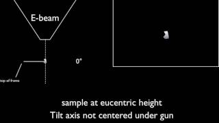 eucentric schematic [upl. by Adan71]