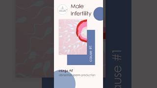 Male Infertility Cause 1 Abnormal sperm production or function [upl. by Ordnassela125]