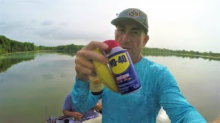 BFS Bass Fishing Using WD 40 on your Bait Mythbusters Edition [upl. by Jenica948]