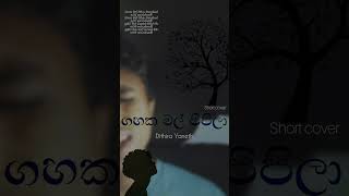 Gahaka mal pipila short cover by Dithira Yaneth karunarathnadivulgane shortcover gahakamalpipila [upl. by Kidd944]