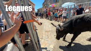 Encierro du Dimanche matin ➡️ Lecques 🇫🇷 070724 manade des Alpilles aficionados tradition toro [upl. by Odnomor]