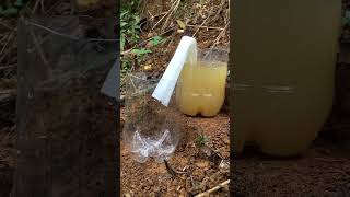 The simplest and most effective way to filter water survival bushcraft survivalskills singlemom [upl. by Fauver]