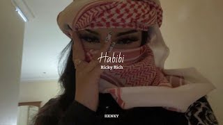 Ricky Rich  Habibi  Albanian Remix   slowed  reverb [upl. by Collin]