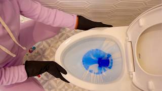 The Essential Guide to Cleaning a Toilet  StepbyStep Tutorial 🚽 ✨ [upl. by Dera]