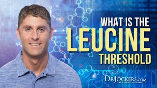 What Is The Leucine Threshold [upl. by Philina]