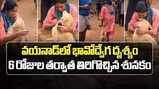 Dog’s Reunion With Owner 6 Days After Wayanad Landslides  Kerala  Samayam Telugu [upl. by Buyse646]