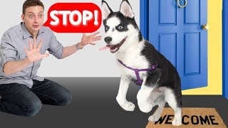 How To Train Your Dog to STOP Running Out of the Front Door Stay at Door [upl. by Lakym]