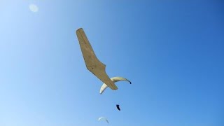 Prandtl Flying Wing FVT3 Radio control NASA WING [upl. by Arleta]