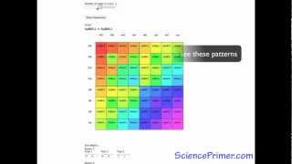 Punnett Square Calculator Overview [upl. by Belinda]